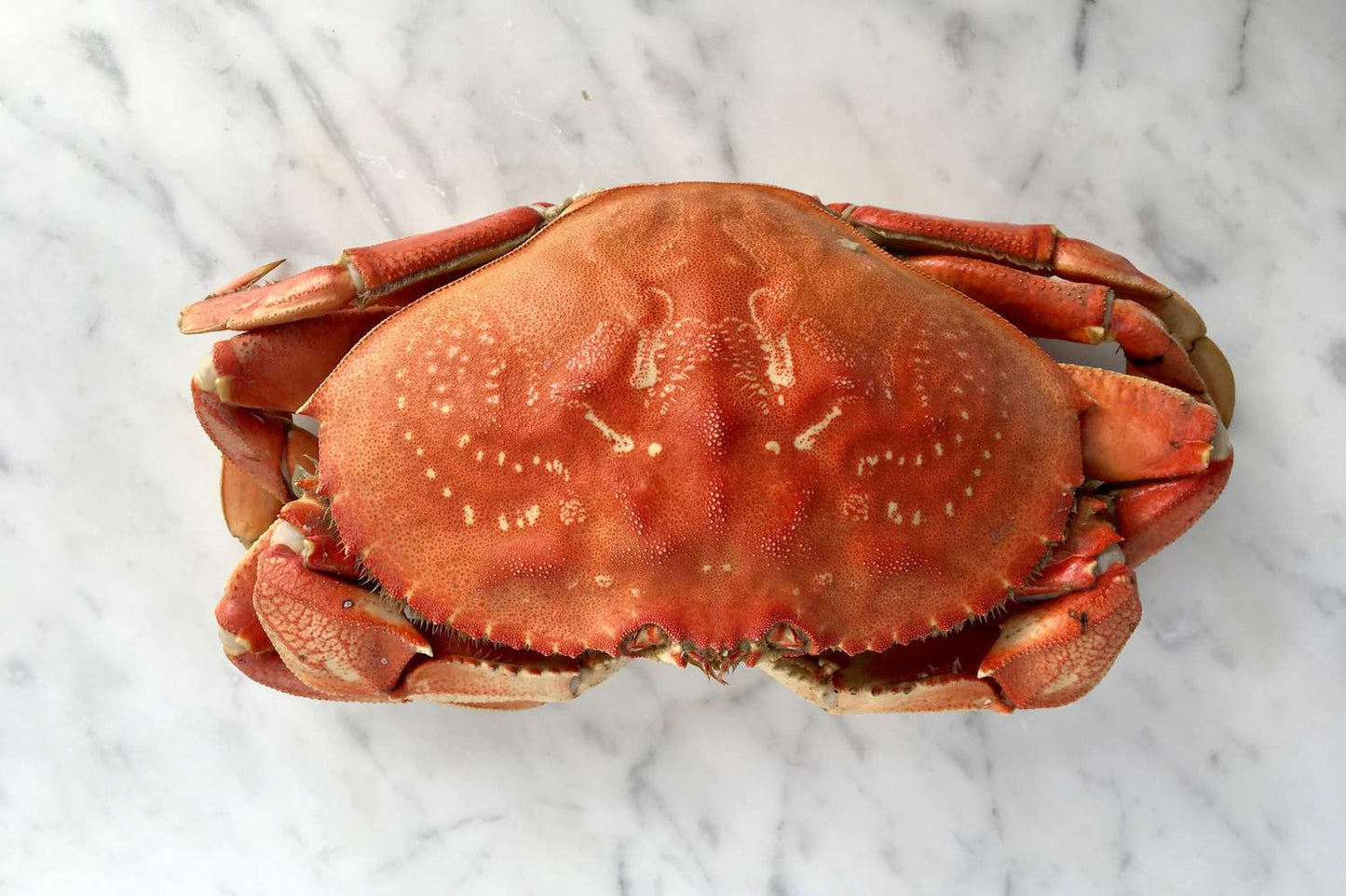 Dungeness Crab (Fresh Whole Cooked)